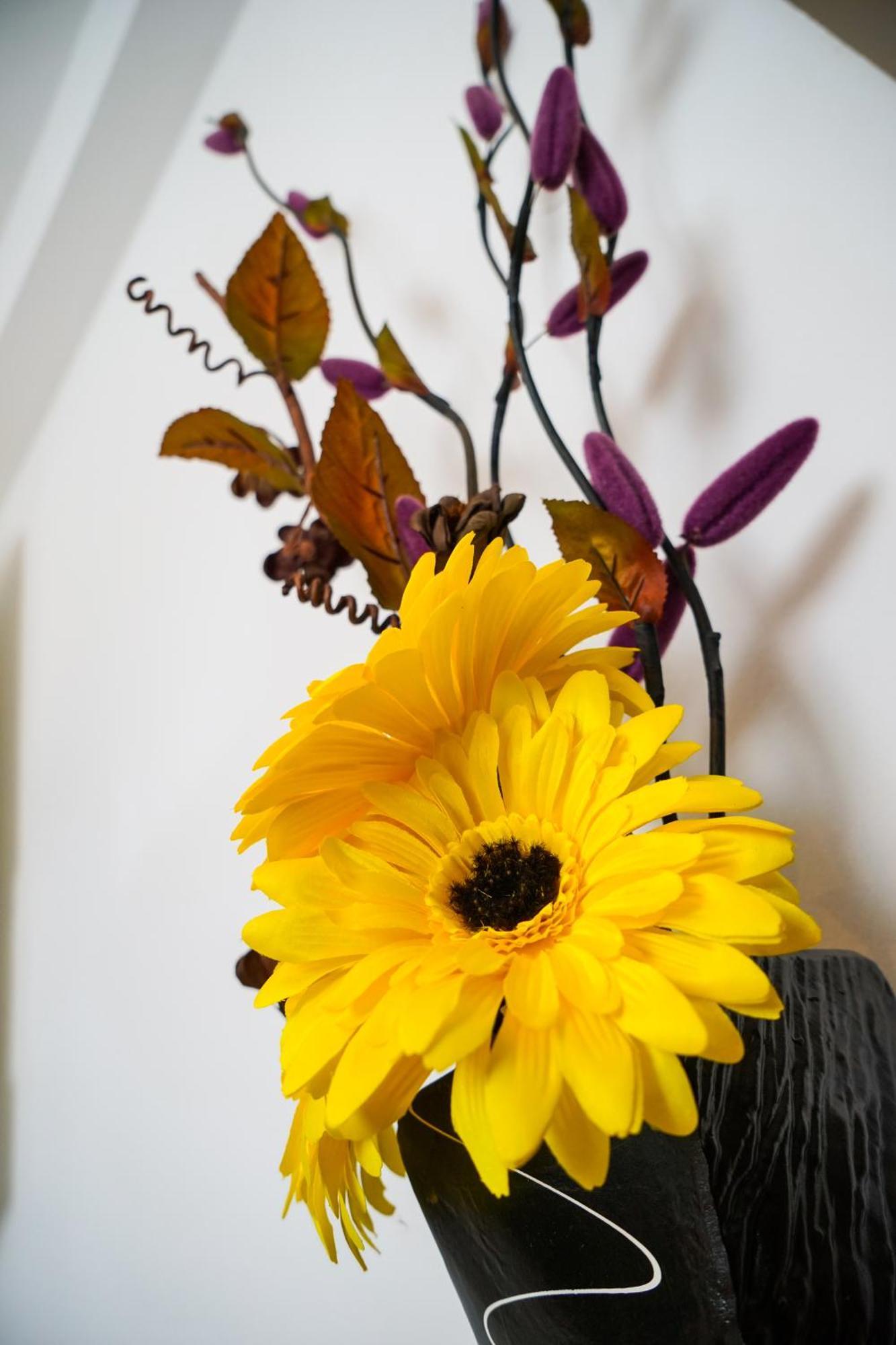 Floral Apartment Zadar Ngoại thất bức ảnh